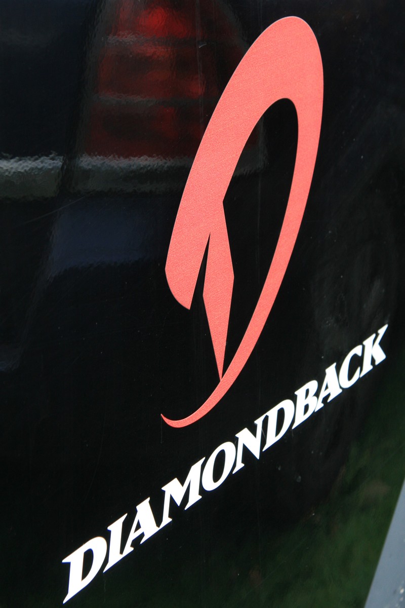 DIAMONDBACK DECISION DOWNHILL 2008