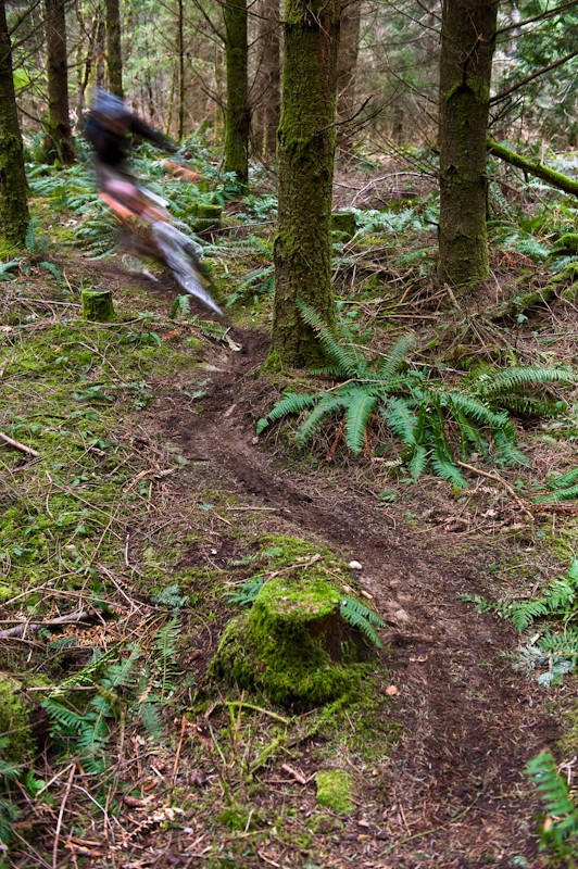 Hardtails excel in the tight stuff