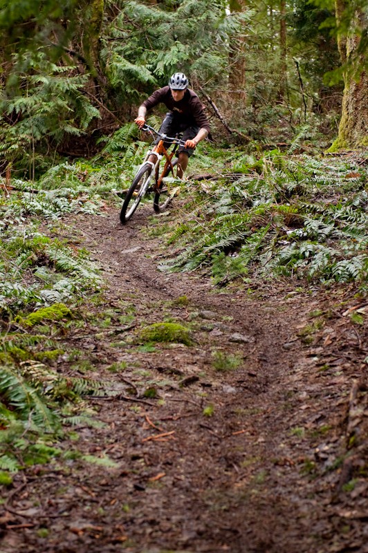 Slicing singletrack is the bike's forte