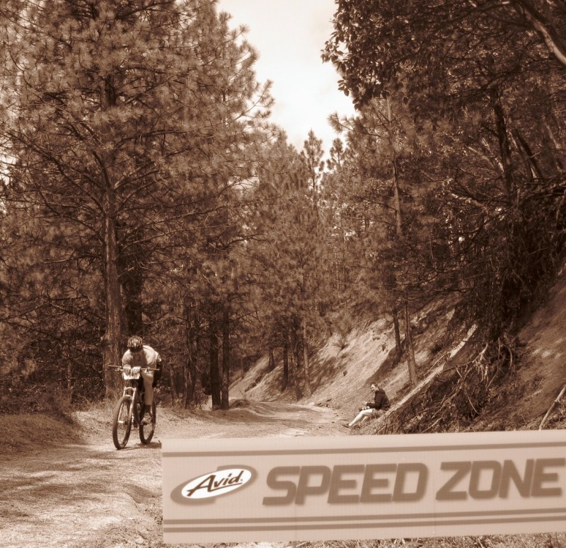 Avid Speed Zone