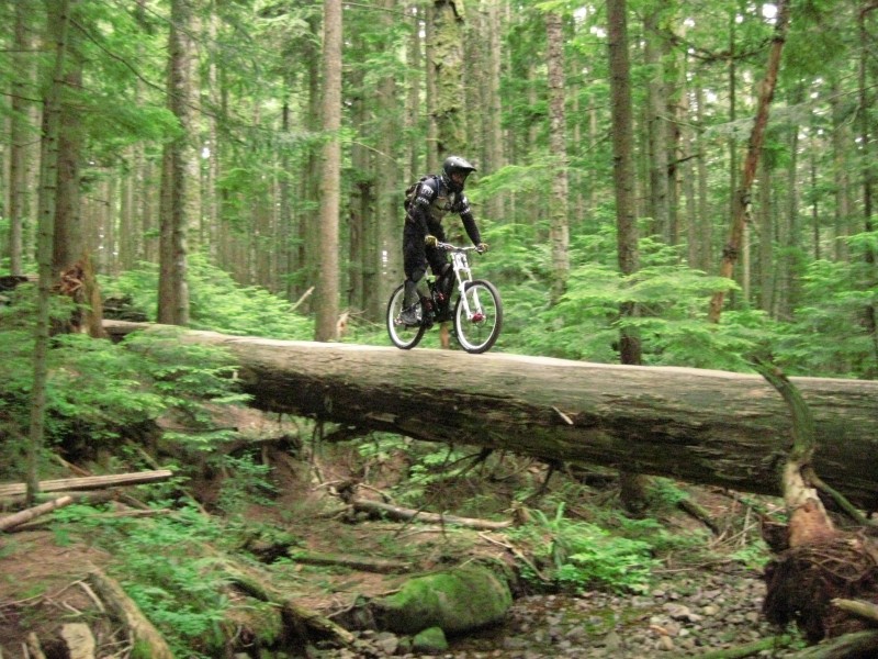 Rolling the skinny line on the Team DH