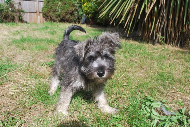 Hensley's new playmate - Buzz Paton..