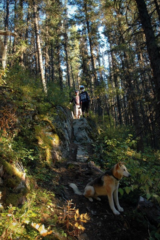 Eying up the chute