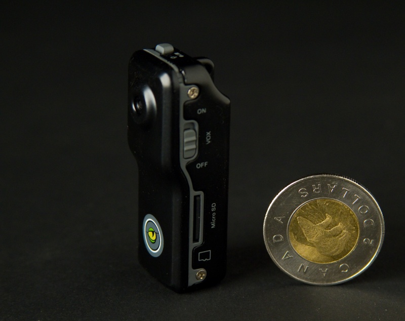 Smaller than most!