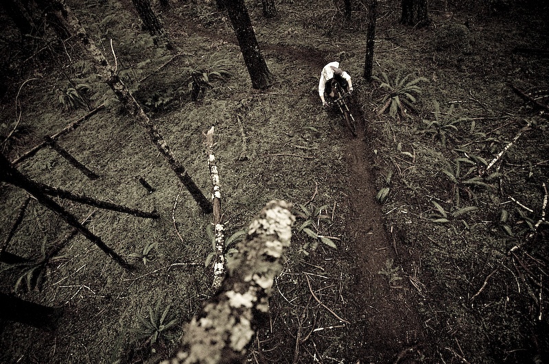 The key to shooting stills alongside a filmer, is to stay the $%#! out of his shot, and vice versa. Sometimes this means climbing a tree with dead limbs and trusting that those limbs won't break right when the rider is underneath you.