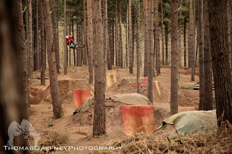 360 table deep in the woods of chicky