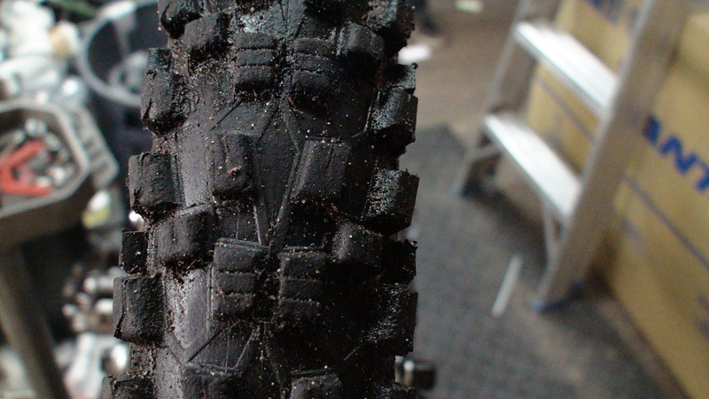 Rear Tire after two weeks of riding