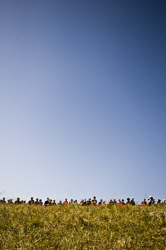 The fans.
