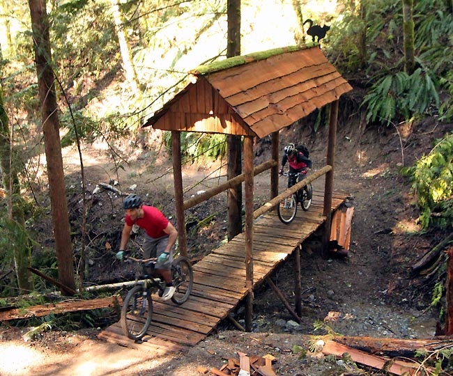 - A feature bridge with some astounding craftsmanship.  Picture by Lee Lau -