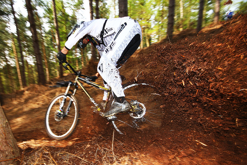 More roost - loads!