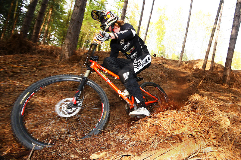 Mophead getting his roost on!