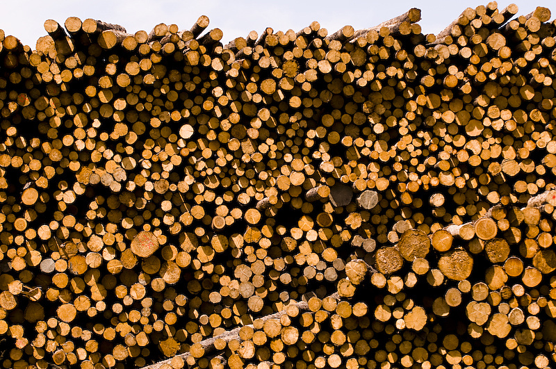 Lumber. Another Williams Lake institution.