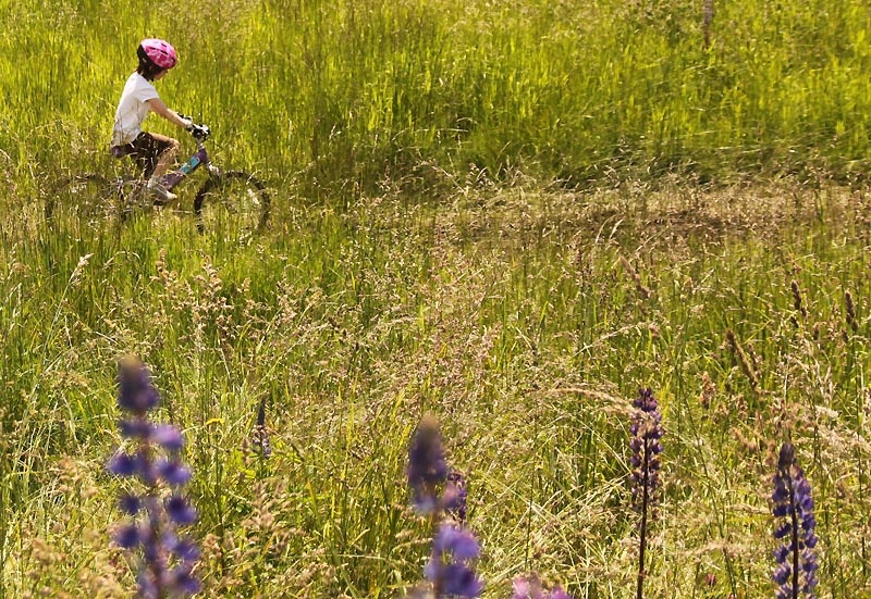 Pink helmets are inherently cool 