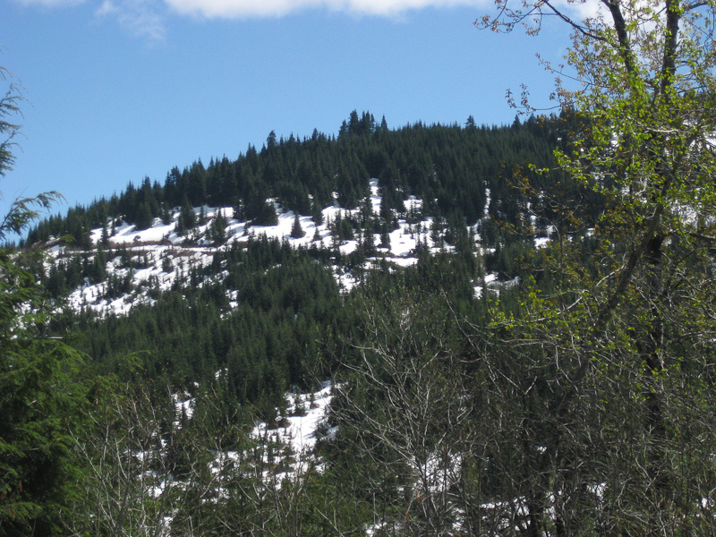 Snow up high that was keeping me from cresting the summit