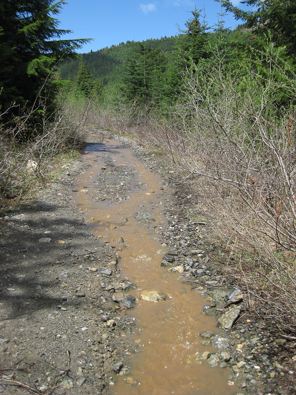 River runs down it