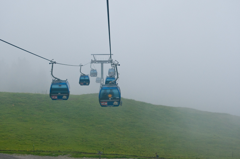 The fog