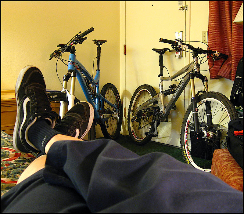 <center>Anxious to get out and play</center>