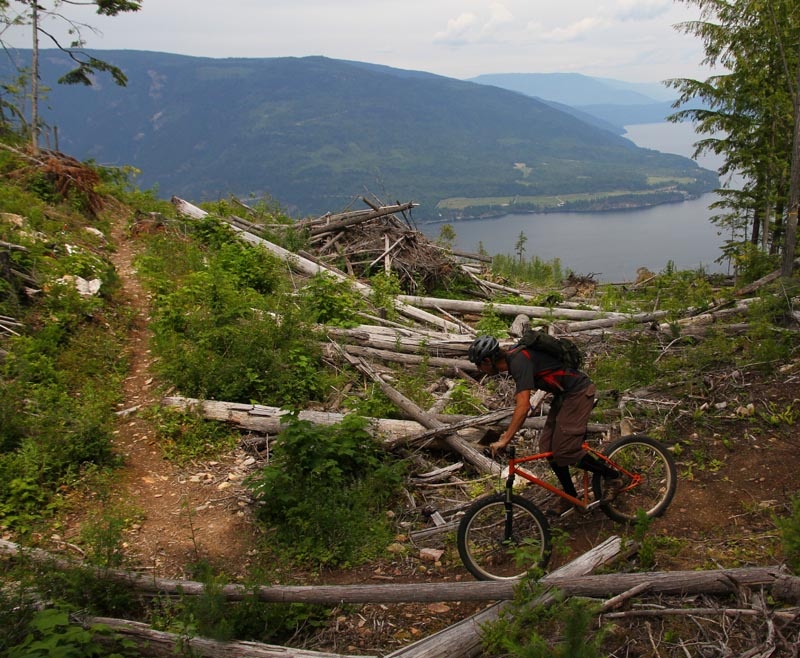 Shuswap View Scapes and Shuswap Lake