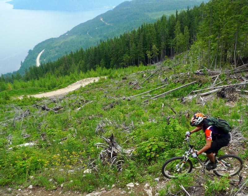 View of Shuswap Lake from the Larch Hills Traverse - Salmon Arm, BC