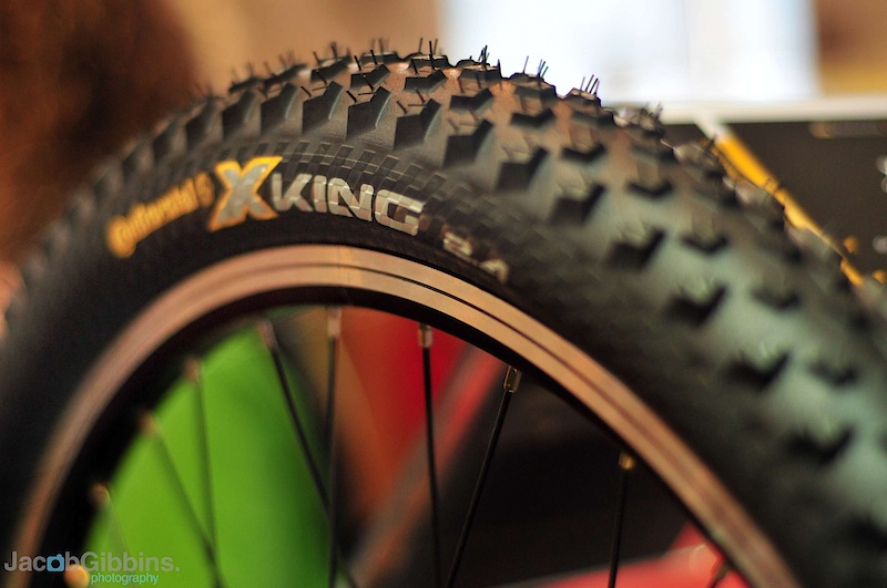 X-King.  Pretty much as light as a hard and aggressive rider will want to go with a trail tyre in terms of tread (or lack of it).  These are, like the Mountain King, a 2.4