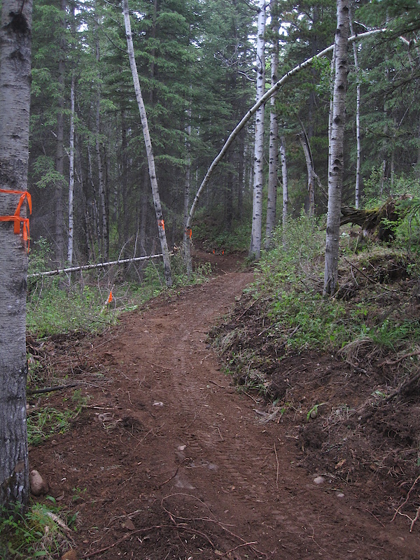 Hinton flowy single track
