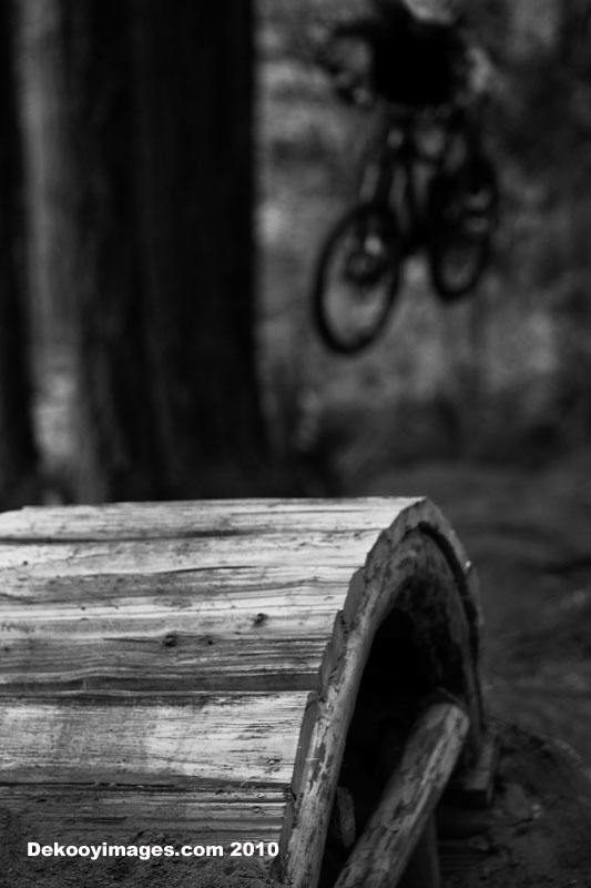 MTBO Trail shot