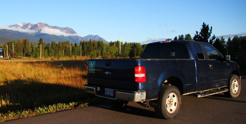 National Car Rental F150