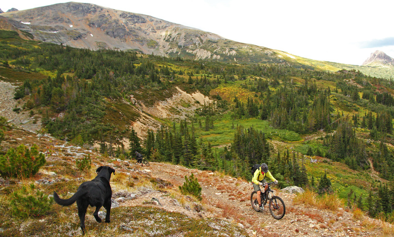 Into the alpine we ride with Omar watching over us. 