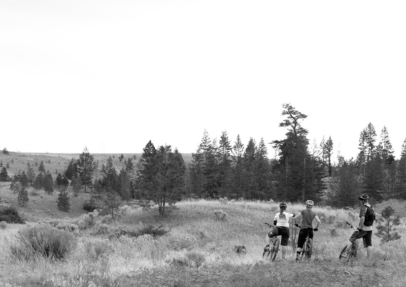 Hayden, Cheryl, Nikki and Matt taking a quick break to check out the rolling hills and decide on the next path to take. -Photo by Tyler Maine