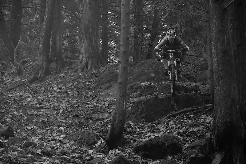 On the trail the Vengeance did a great job of absorbing the terrain and keeping my wheel on the ground, which is the goal of any well setup suspension, isn't it? The fork's very active and supple beginning stroke allowed the front wheel to get up and out of the way quickly when crossing over small trail chatter, but I did find myself adding some low speed compression as the fork had a tendency to gobble up a bit too much travel than was called for during hard braking or on steep pitches of trail. Thankfully, the L/S compression adjustment is very effective and does a great job of keeping the fork higher in its travel without transmitting a harsh feel through to the bars. Just keep in mind that you may need to give the L/S dial a few more clicks than you'd first expect. On the opposite end of the spectrum the black fork handled fast and heavy hits great - no spiking or excessively hard bottom out and it has no qualms about you pushing the limits of what your all-mountain bike is capable of. After much knob turning I settled on a slightly faster rebound stroke than what I've run on other forks. A bit too slow and it felt as if the fork would get a step or two behind the terrain, but it came to life once I sped the rebound speed up only one or two clicks. The fork proved to have a quality feel to it, which I was expecting after seeing the caliber of the internals and knowing how much work the guys at X-Fusion have put in to having a properly tuned fork. Besides the excellent action, the range of feel that the external adjustments have is also impressive. They allow you to alter the personality of the Vengeance drastically depending on what you are looking for or the terrain on any given day. Reliability has also been impressive, but if a problem does arise it is good to know that they do have a fully stocked service center in California should any work need to be performed.