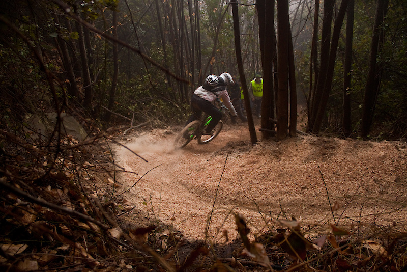 That's not dirt, it's woodchip