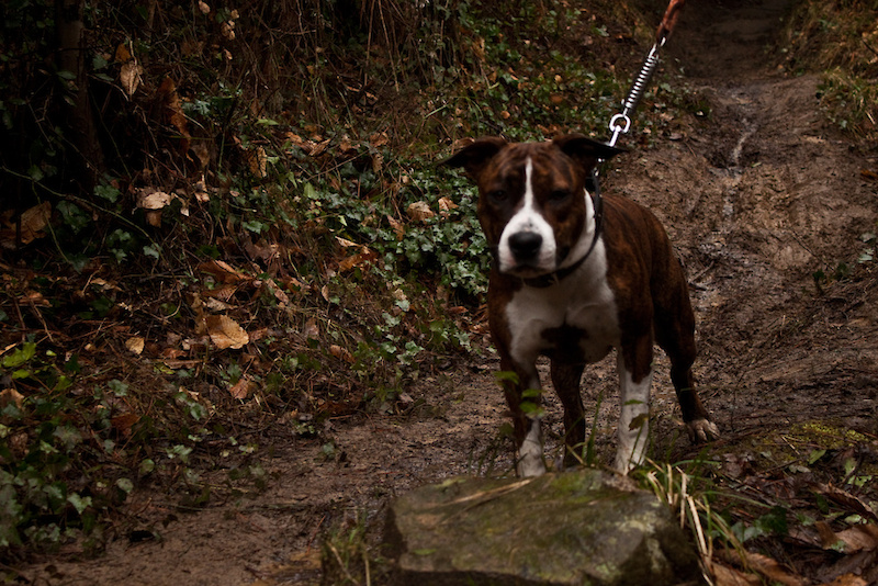 Not everyone was enjoying the mud...