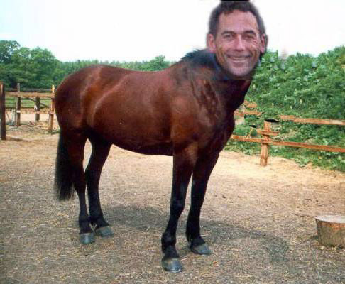 Horsey IS his Mommy...