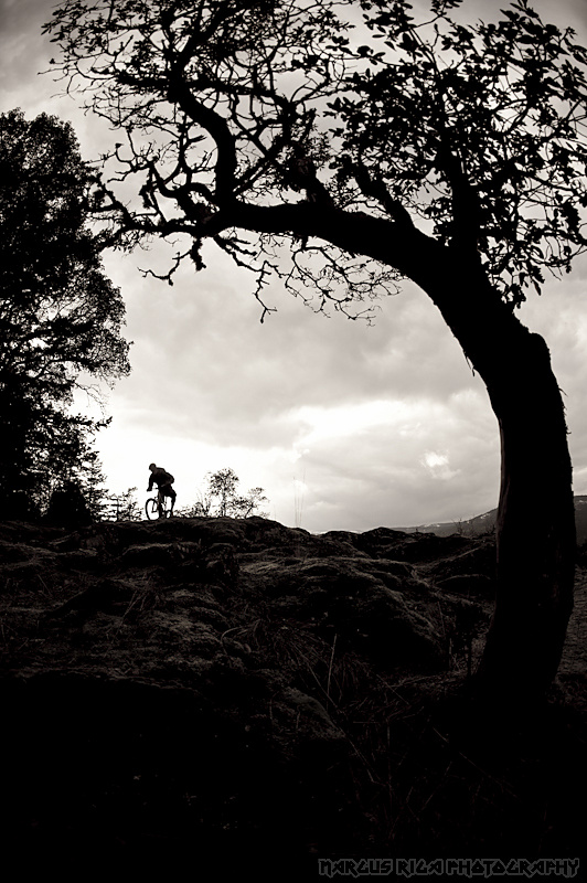 Jamie Biluk, going with the grain.