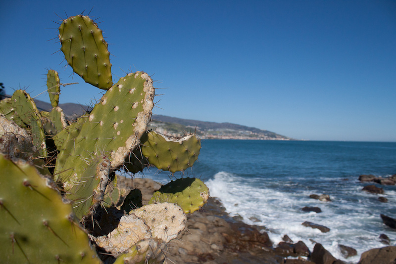 The Ligurian Sea