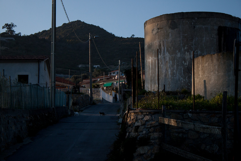 Coldirodi