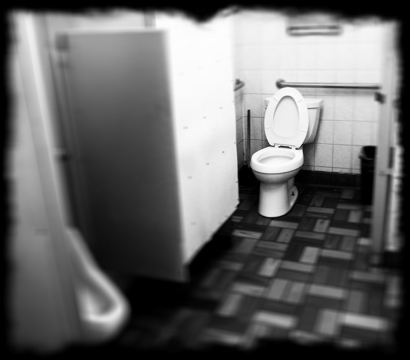 You're all lucky that this isn't a Scratch-and-Sniff photo. This washroom in Biggs, Oregon, is probably one of the worst smelling that we've ever visited. I was convinced that there were about twenty dirty litter boxes hidden somewhere in there...