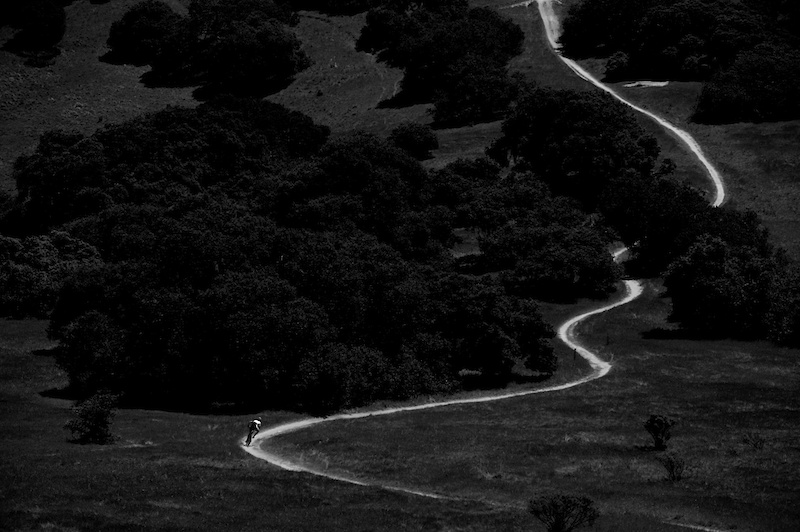 Sea Otter singletrack.
