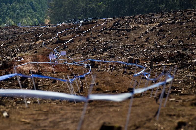 The track is long, fast and very open!