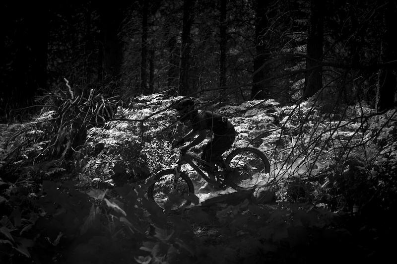 Chad Thorpe slicing through the deep woods.