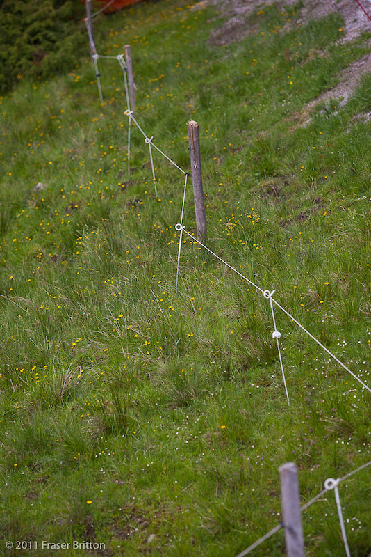 Leogang Austria - World Cup. The cows mean fences. fences you DO NOT want to fall on as many riders found out last year. AUDIO - ELECTRIC FENCE.