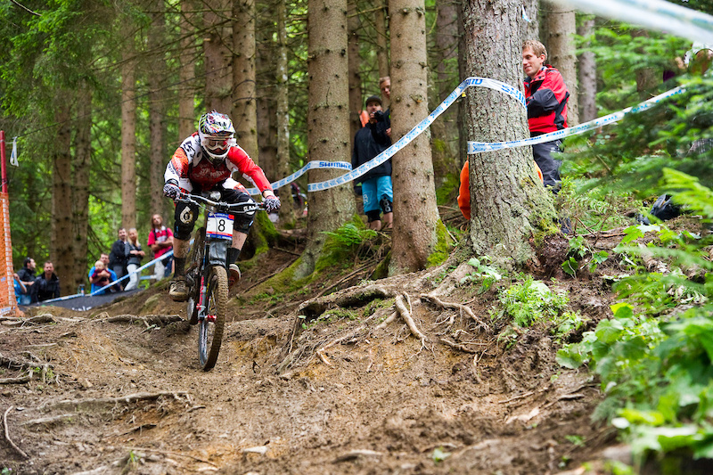 Timeless. Steve Peat.