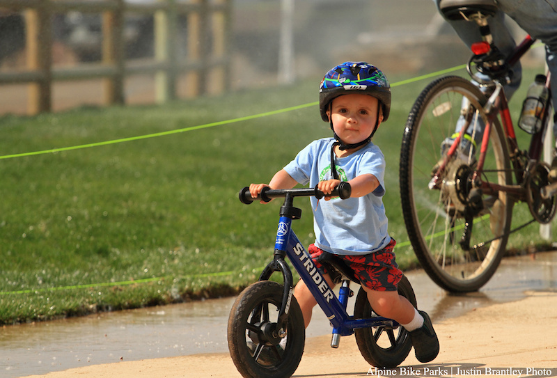 Striders are always cute This little guy was stoked to be riding 