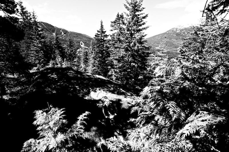 Press pics by Margus Riga