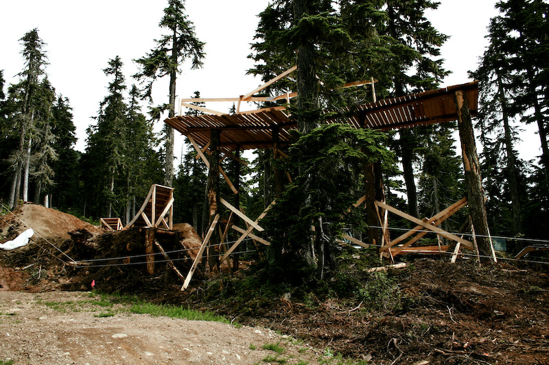 The Structure
