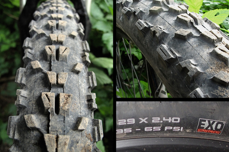 Maxxis Ardent 29x2.4 EXO tire