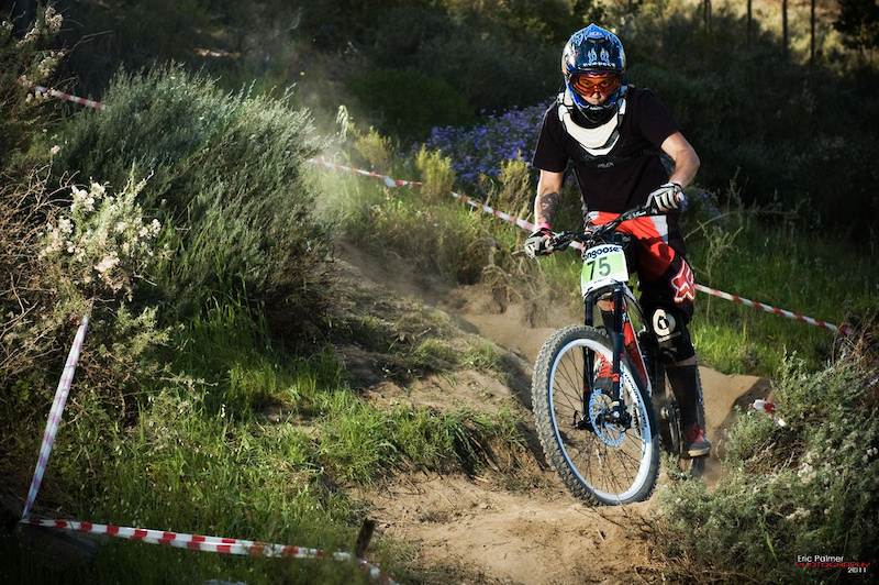 Mongoose Provincial at Contermans Eric Palmer