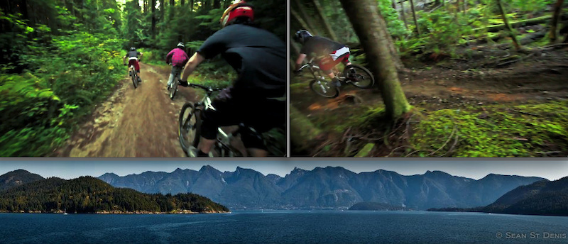 the beautiful forest and mountains of the Sunshine coast.