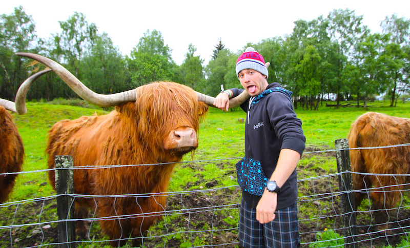 Making new friend on the road