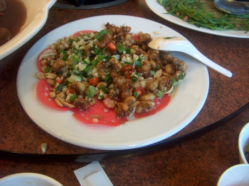 Something special from the local cuisine - fried bees.